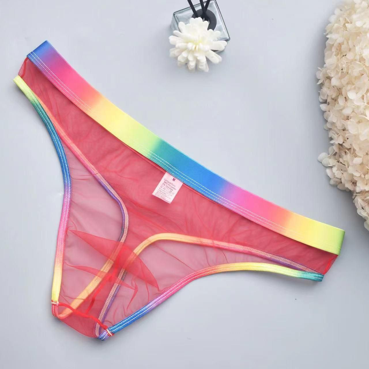 Seductive Rainbow Thong for Men