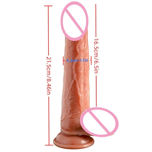 Male Organ