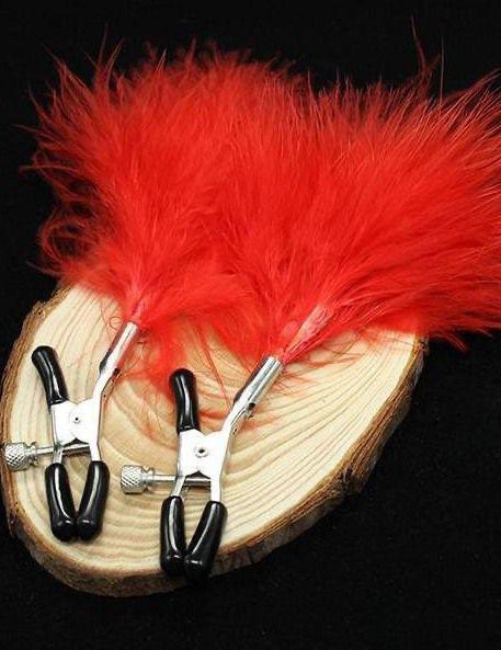 Clamps with Feathers