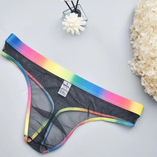 Seductive Rainbow Thong for Men